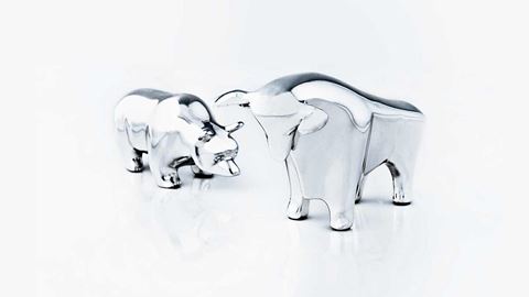 Bjørn- og tyr figur