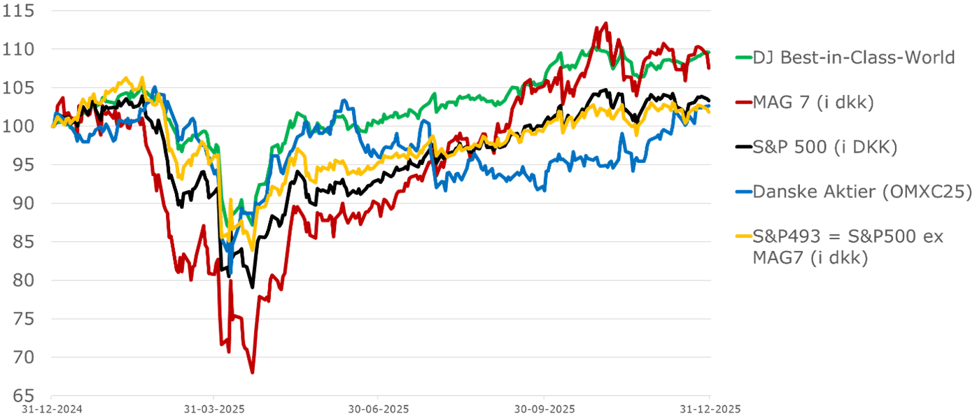 Aktiekurser: Globale Aktier, MAG7 / S&P500 / S&P493 og Danske aktier